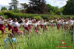 Tynwald Garden Party 2025